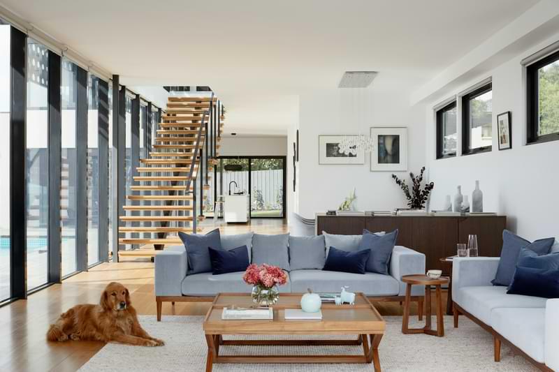 Basement Renovation