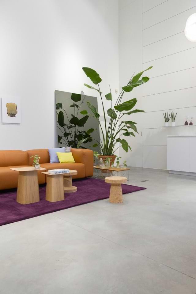 Basement Renovation
