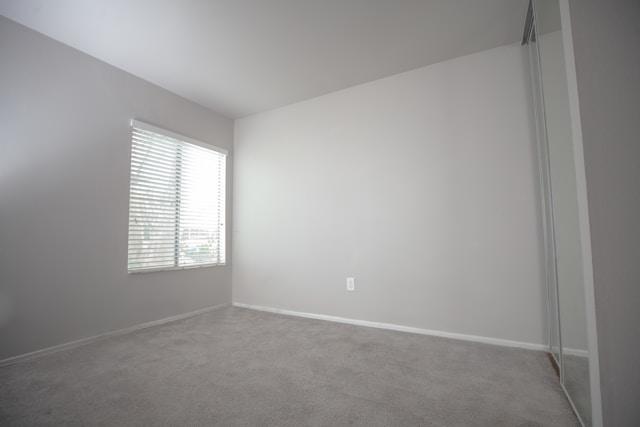 Basement Renovation
